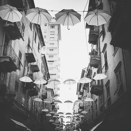 招待所 Superior Del Golfo E Delle 5 Terre 斯培西亚